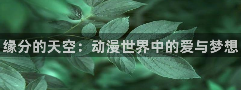 扶她里番动漫
