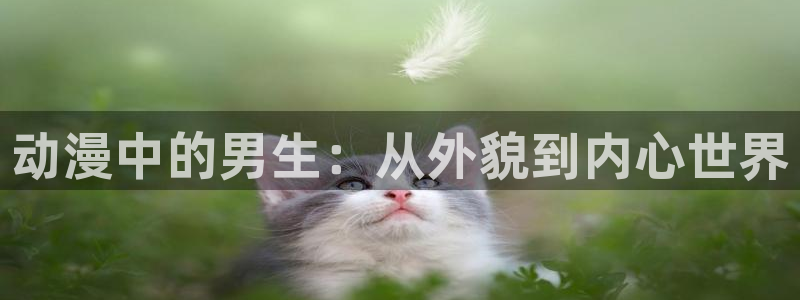 在线里番动画