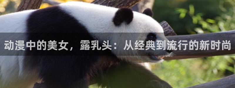 6080旧里番动漫