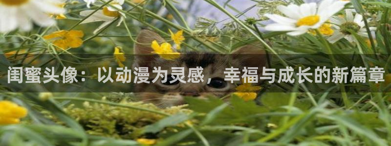 里番 动画