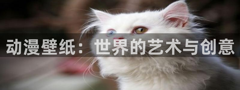 里番动漫免费下载