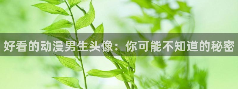 里番动漫介绍