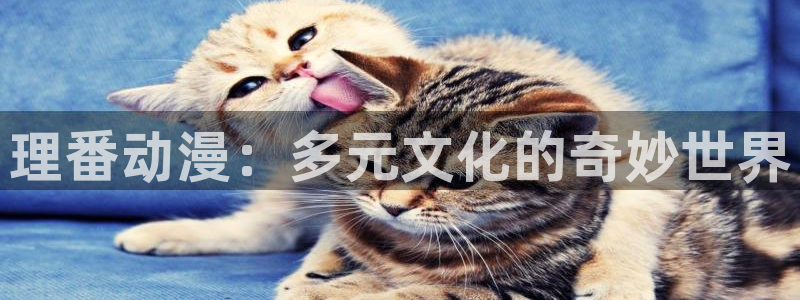 星辰动漫里番