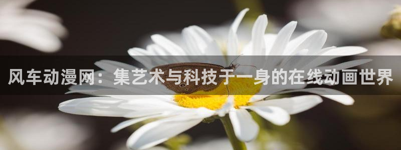 里番漫画 在线