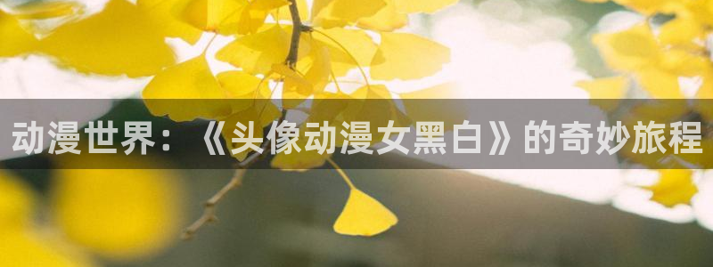 里番风车动漫