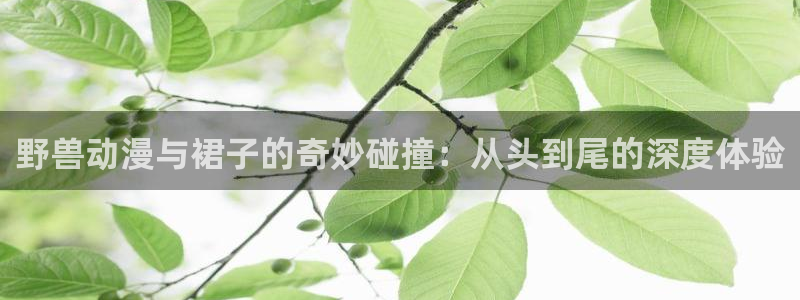 里番动漫有那些