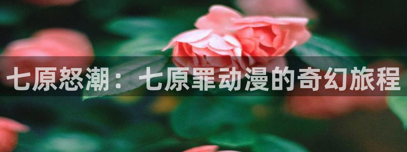 里番好看的动漫