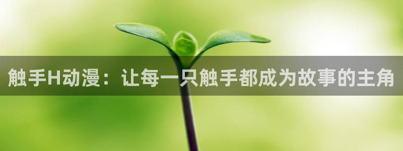 动漫肉里番