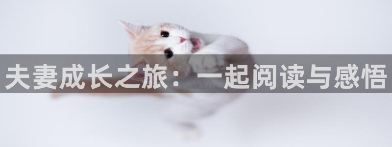 里番同人动漫