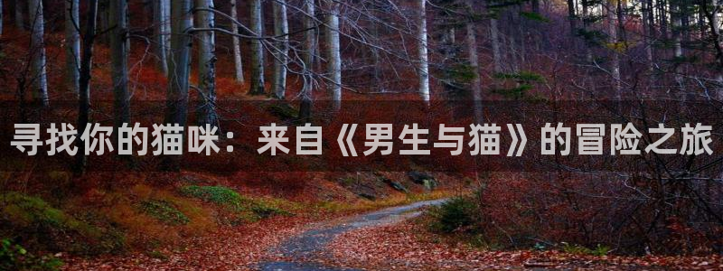 第一动漫网里番