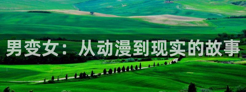 里番动漫网站在线