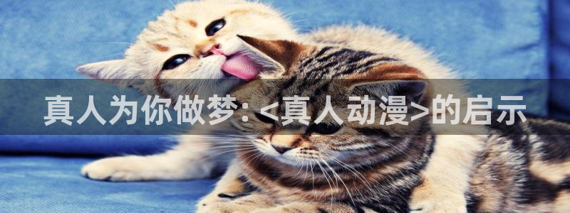 动漫大全里番动漫