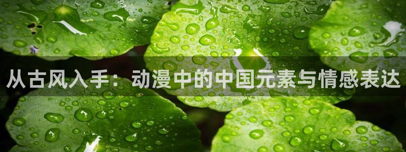 里番动漫最高质量