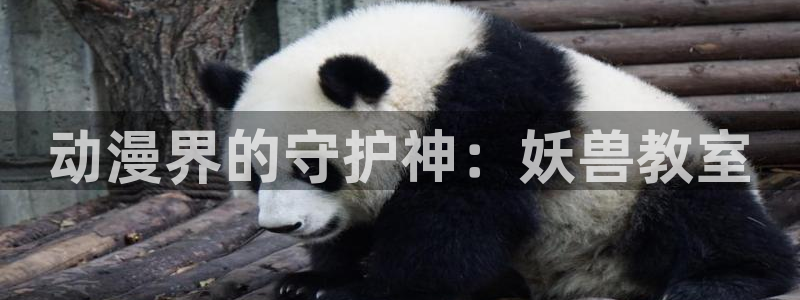 里番动漫介绍