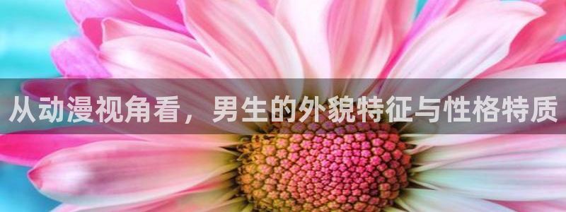 旧里番动漫3d：从动漫视角看，男生的外貌特征与性格特质