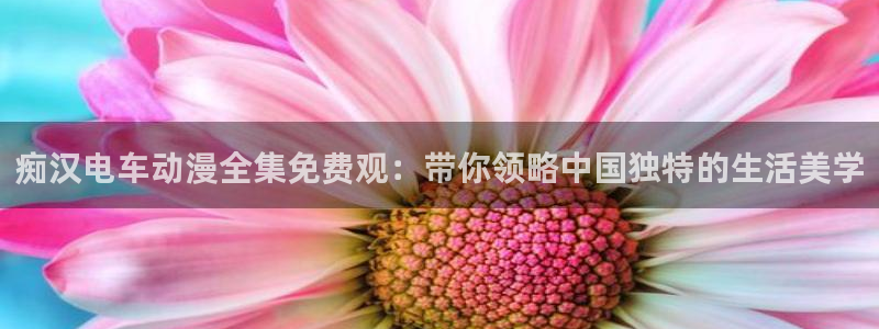 日本少女口工里番漫画：痴汉电车动漫全集免费观：带你领略中国独特的生活美学
