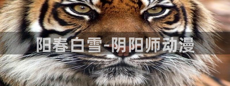 动漫acg里番