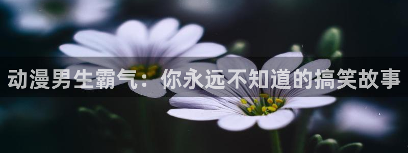 2020里番动漫