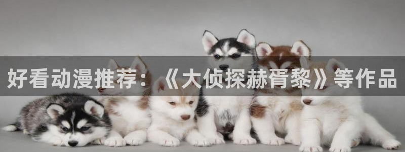 2025年里番动漫