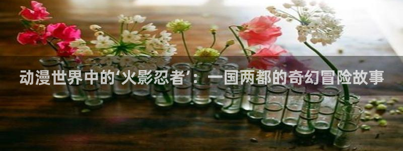 第一动漫网里番
