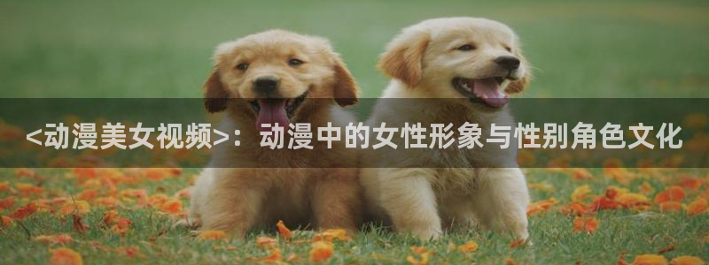 里番动漫风车