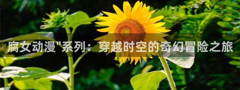 2020里番动漫