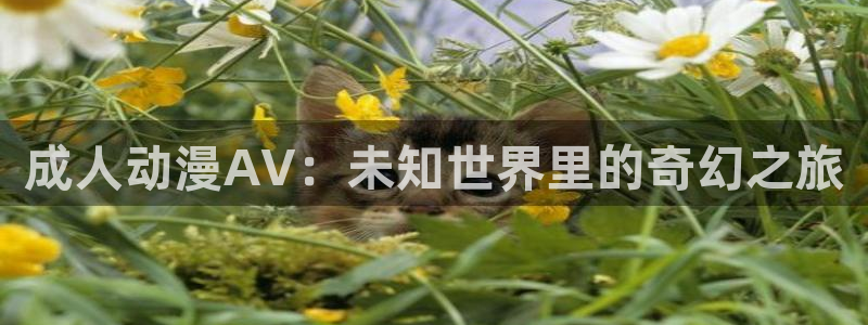 动漫里番 在线