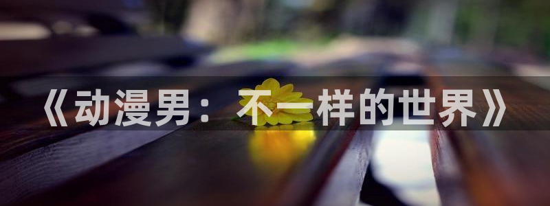 里番动漫第一