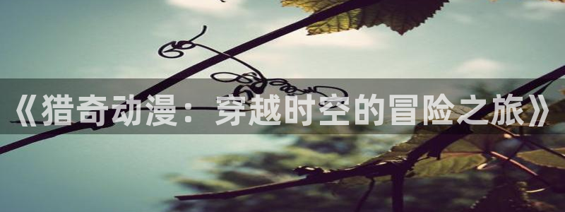 里番动画片