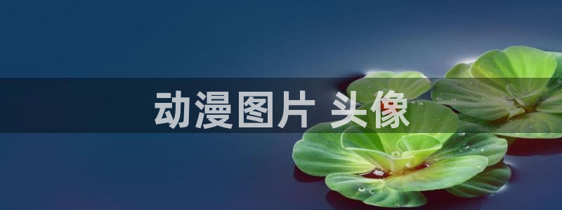 动漫gif里番图片：动漫图片 头像