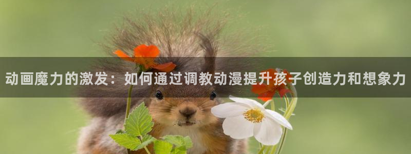 里番动漫在线观看
