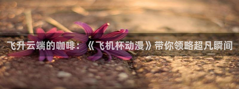 里番动漫观看在线：飞升云端的咖啡：《飞机杯动漫》带你领略超凡瞬间
