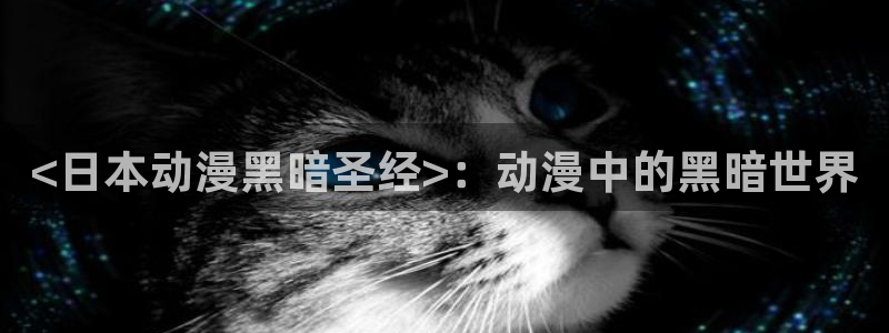 里番动漫伦理