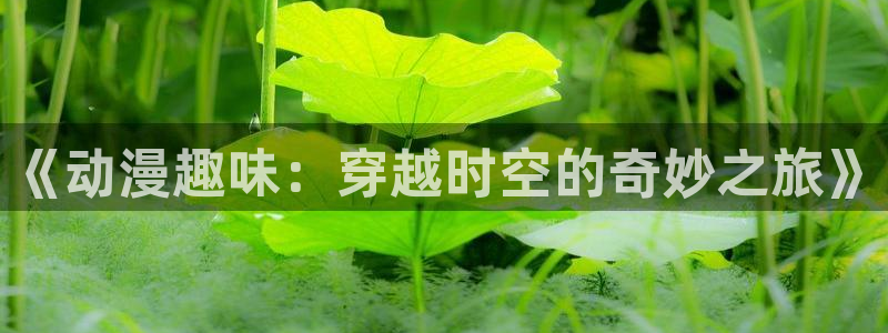 旧里番动漫网站：《动漫趣味：穿越时空的奇妙之旅》